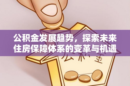 翔安公积金发展趋势，探索未来住房保障体系的变革与机遇