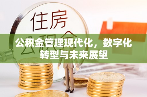 翔安公积金管理现代化，数字化转型与未来展望