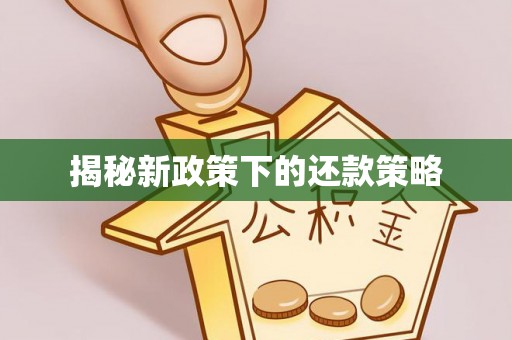 翔安揭秘新政策下的还款策略