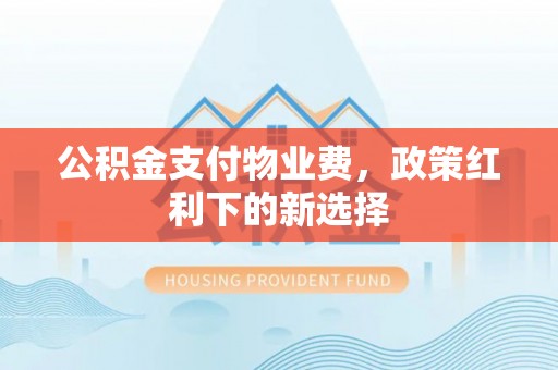 翔安公积金支付物业费，政策红利下的新选择