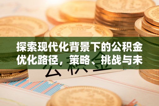 翔安探索现代化背景下的公积金优化路径，策略、挑战与未来展望