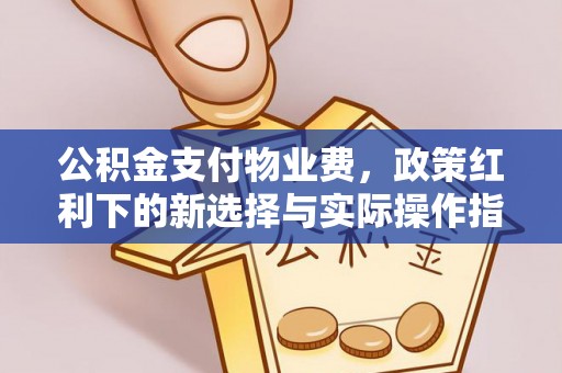 翔安公积金支付物业费，政策红利下的新选择与实际操作指南