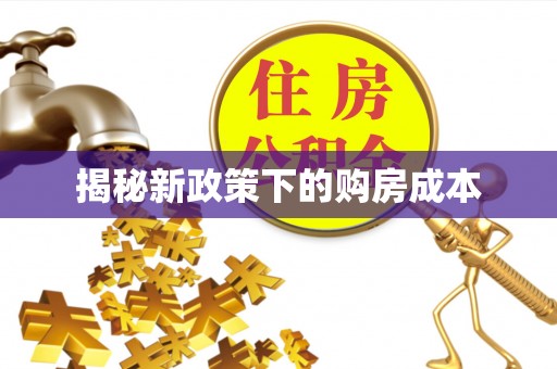 翔安揭秘新政策下的购房成本