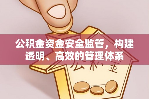翔安公积金资金安全监管，构建透明、高效的管理体系