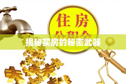 翔安揭秘买房的秘密武器