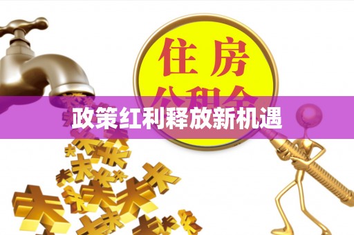 翔安政策红利释放新机遇