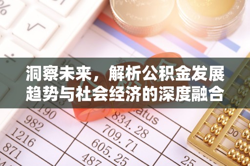 翔安洞察未来，解析公积金发展趋势与社会经济的深度融合