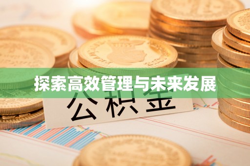 翔安探索高效管理与未来发展
