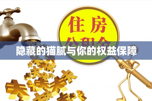 翔安隐藏的猫腻与你的权益保障