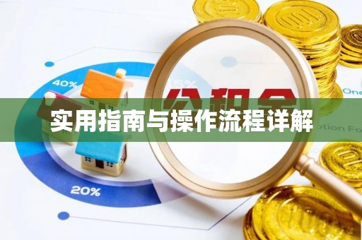 翔安实用指南与操作流程详解