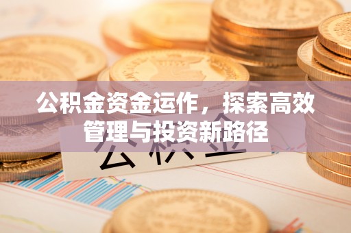 翔安公积金资金运作，探索高效管理与投资新路径