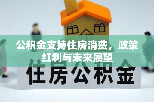 翔安公积金支持住房消费，政策红利与未来展望