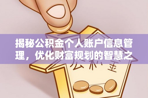 翔安揭秘公积金个人账户信息管理，优化财富规划的智慧之选