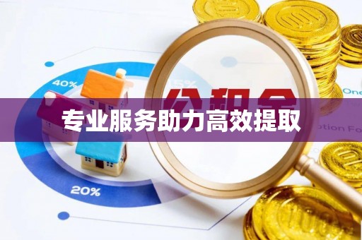 翔安专业服务助力高效提取