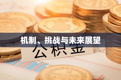 翔安机制、挑战与未来展望