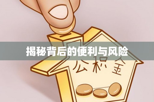 翔安揭秘背后的便利与风险